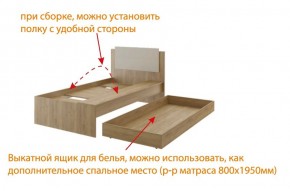 Дуглас (подростковая) М14 Кровать в Александровском - alexsandrovskoe.mebel-74.com | фото