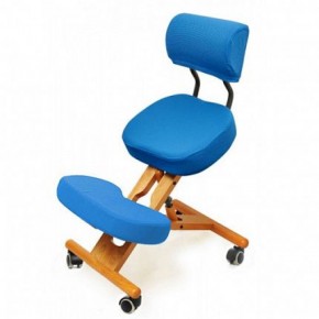 Коленный стул со спинкой Smartstool KW02В + Чехлы в Александровском - alexsandrovskoe.mebel-74.com | фото