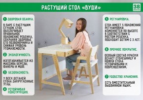 Комплект растущий стол и стул 38 попугаев «Вуди» (Серый, Без покрытия) в Александровском - alexsandrovskoe.mebel-74.com | фото