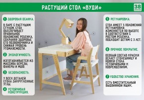 Комплект растущий стол и стул с чехлом 38 попугаев «Вуди» (Белый, Белый, Салют) в Александровском - alexsandrovskoe.mebel-74.com | фото