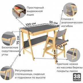 Комплект растущий стол и стул с чехлом 38 попугаев «Вуди» (Серый, Береза, Серый) в Александровском - alexsandrovskoe.mebel-74.com | фото