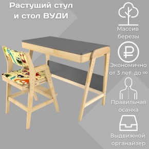 Комплект растущий стол и стул с чехлом 38 попугаев «Вуди» (Серый, Без покрытия, Монстры) в Александровском - alexsandrovskoe.mebel-74.com | фото