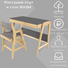Комплект растущий стол и стул с чехлом 38 попугаев «Вуди» (Серый, Без покрытия, Серый) в Александровском - alexsandrovskoe.mebel-74.com | фото