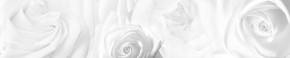 Кухонный фартук Цветы 217 МДФ матовый (3000) Flowers в Александровском - alexsandrovskoe.mebel-74.com | фото