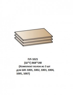 ПЛ-1021 (Комплект полок из 3 шт для ШК-1001, 1002, 1003, 1004, 1005, 1007) в Александровском - alexsandrovskoe.mebel-74.com | фото