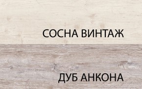 Шкаф 2D1S, MONAKO, цвет Сосна винтаж/дуб анкона в Александровском - alexsandrovskoe.mebel-74.com | фото