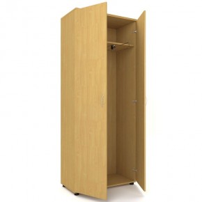 Шкаф для одежды двухстворчатый "Проспект" (Р.Ш-8) в Александровском - alexsandrovskoe.mebel-74.com | фото