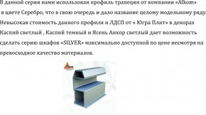 Шкаф-купе 1300 серии SILVER S5+S5+B2+PL3 (2 ящика+2 штанги) профиль «Серебро» в Александровском - alexsandrovskoe.mebel-74.com | фото