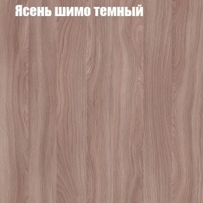 Шкаф-купе «ТАНДЕМ» 2-х дверный в алюминиевом профиле (Дверь К+К) 1200/h2200 в Александровском - alexsandrovskoe.mebel-74.com | фото