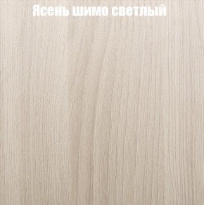 Шкаф-купе «ТАНДЕМ» 2-х дверный в алюминиевом профиле (Дверь ЛДСП+ЛДСП) 1800/h2200 в Александровском - alexsandrovskoe.mebel-74.com | фото