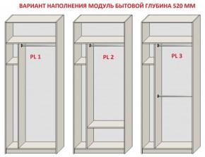 Шкаф распашной серия «ЗЕВС» (PL3/С1/PL2) в Александровском - alexsandrovskoe.mebel-74.com | фото
