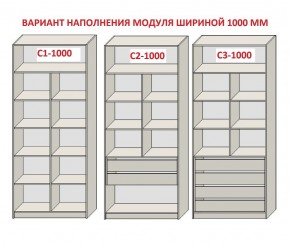 Шкаф распашной серия «ЗЕВС» (PL3/С1/PL2) в Александровском - alexsandrovskoe.mebel-74.com | фото