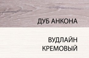 Шкаф угловой 2D, OLIVIA, цвет вудлайн крем/дуб анкона в Александровском - alexsandrovskoe.mebel-74.com | фото