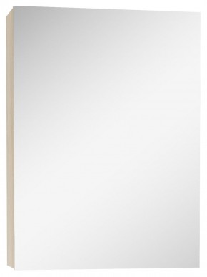 Шкаф-зеркало Мечта 40 Дуб сонома АЙСБЕРГ (DM2317HZ) в Александровском - alexsandrovskoe.mebel-74.com | фото
