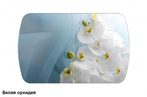 Стол Бостон 900*600 (опоры Брифинг) Стекло/фотопечать Белая Орхидея в Александровском - alexsandrovskoe.mebel-74.com | фото