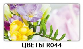 Стол Бриз с фотопечатью Орхидея R041 в Александровском - alexsandrovskoe.mebel-74.com | фото