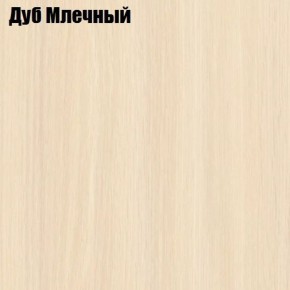 Стол-книга СТ-1М на металлкаркасе в Александровском - alexsandrovskoe.mebel-74.com | фото