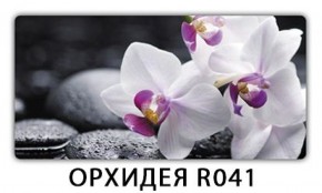 Стол обеденный Трилогия с фотопечатью Орхидея R041 в Александровском - alexsandrovskoe.mebel-74.com | фото