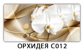 Стол раздвижной Трилогия с фотопечатью Доска D112 в Александровском - alexsandrovskoe.mebel-74.com | фото