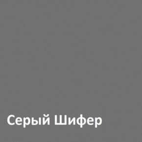 Юнона Шкаф торцевой 13.221 в Александровском - alexsandrovskoe.mebel-74.com | фото